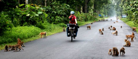 Kate and Mel - Silk road monkeys