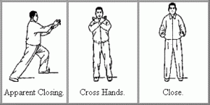 Apparent Close - Tai Chi