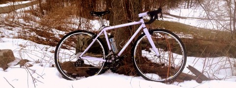 Beautiful Day with Honey - photo - Lovely Bicycle!