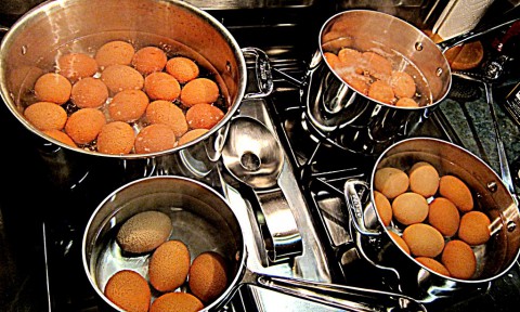 Eggs for Cool Hand Luke - photo - Rob Vandermark