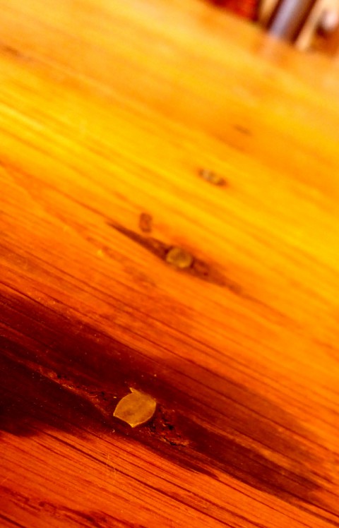 Nails in the Table - photo - Rob Vandermark