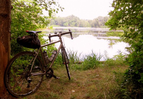 The quiet pond - photo - Rob Vandermark