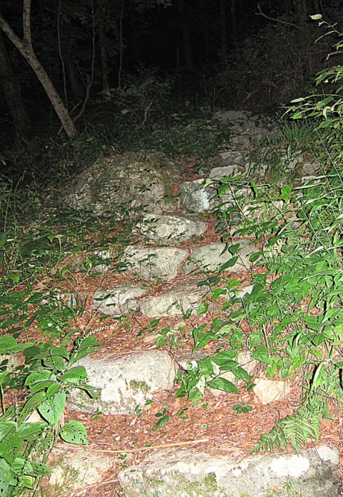 Night scouting for Coffee cross - photo - Rob Vandermark