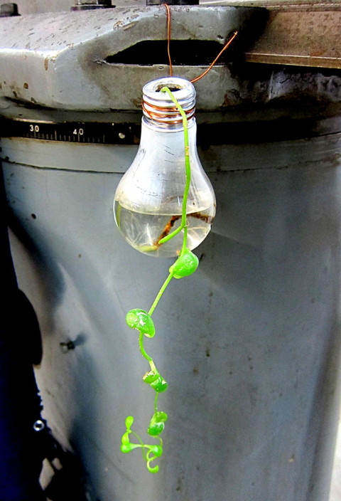 A lightbulb goes off - photo - Rob Vandermark