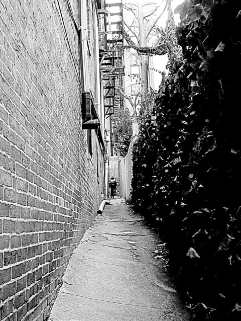 My favorite road in Boston - 'cause I can't fall over