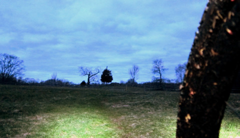 Field of Trails for Diverged 2.0 - photo - Rob Vandermark