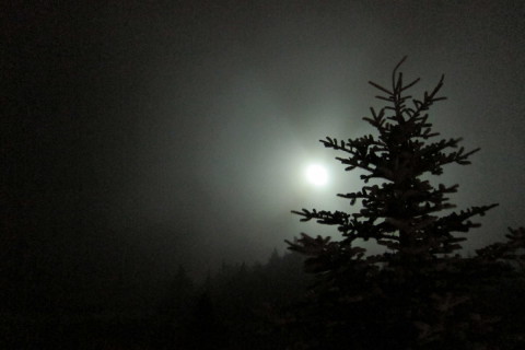 Full Moon This Evening - photo - Rob Vandermark