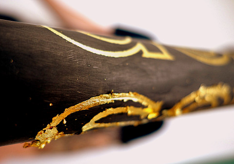741 Project Pioneer gold leaf - photo - Rob Vandermark