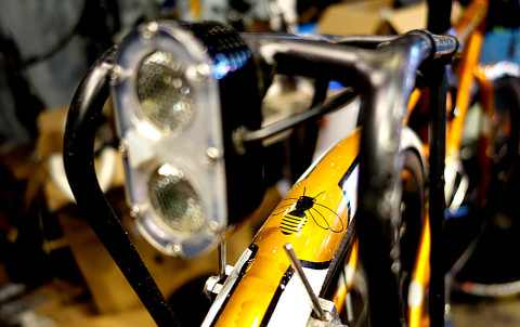 Worker Bee - photo - Rob Vandermark